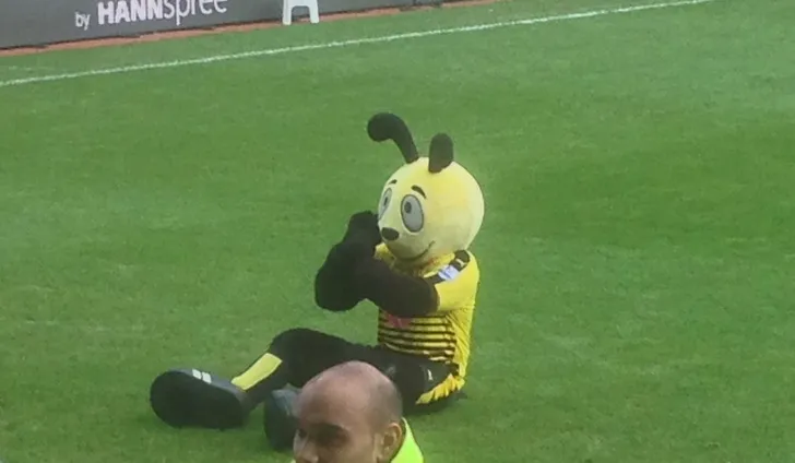 Harry The Hornet, linh vật vui nhộn và thân thiện của Watford FC.
